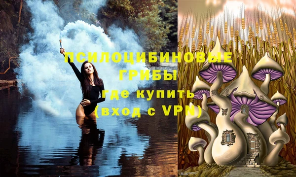 MDMA Богданович